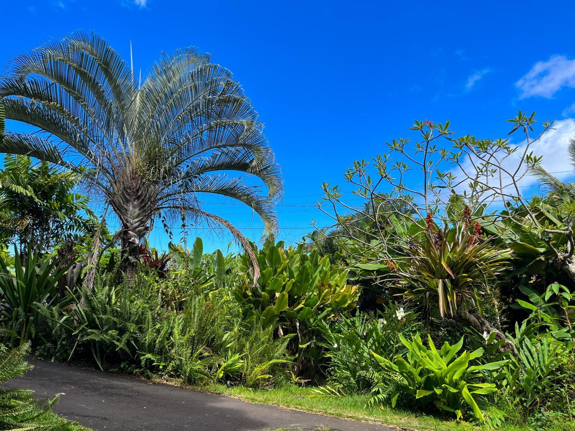 Appartamento Gingerhill Farm Retreat Kealakekua Esterno foto