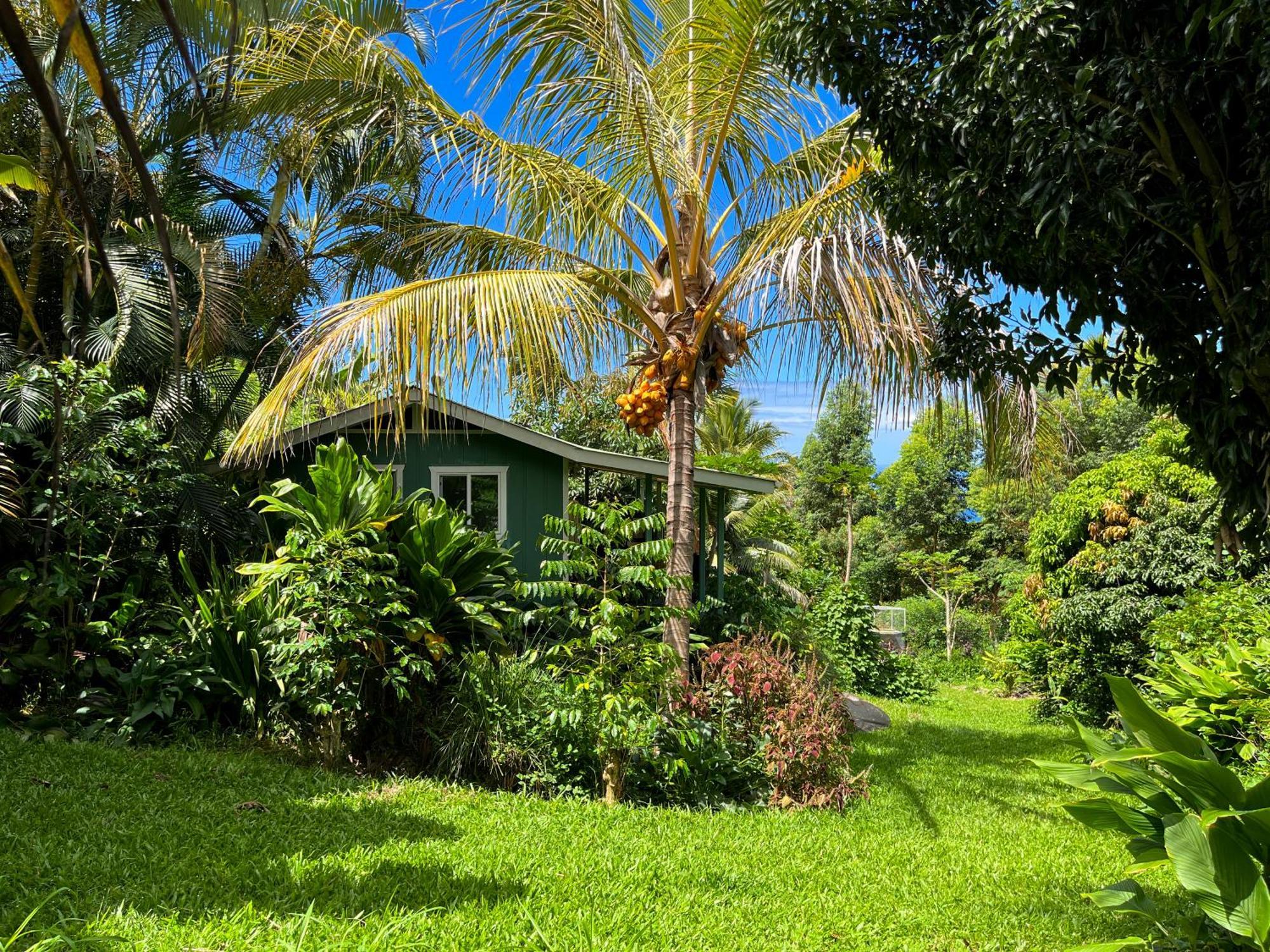 Appartamento Gingerhill Farm Retreat Kealakekua Esterno foto