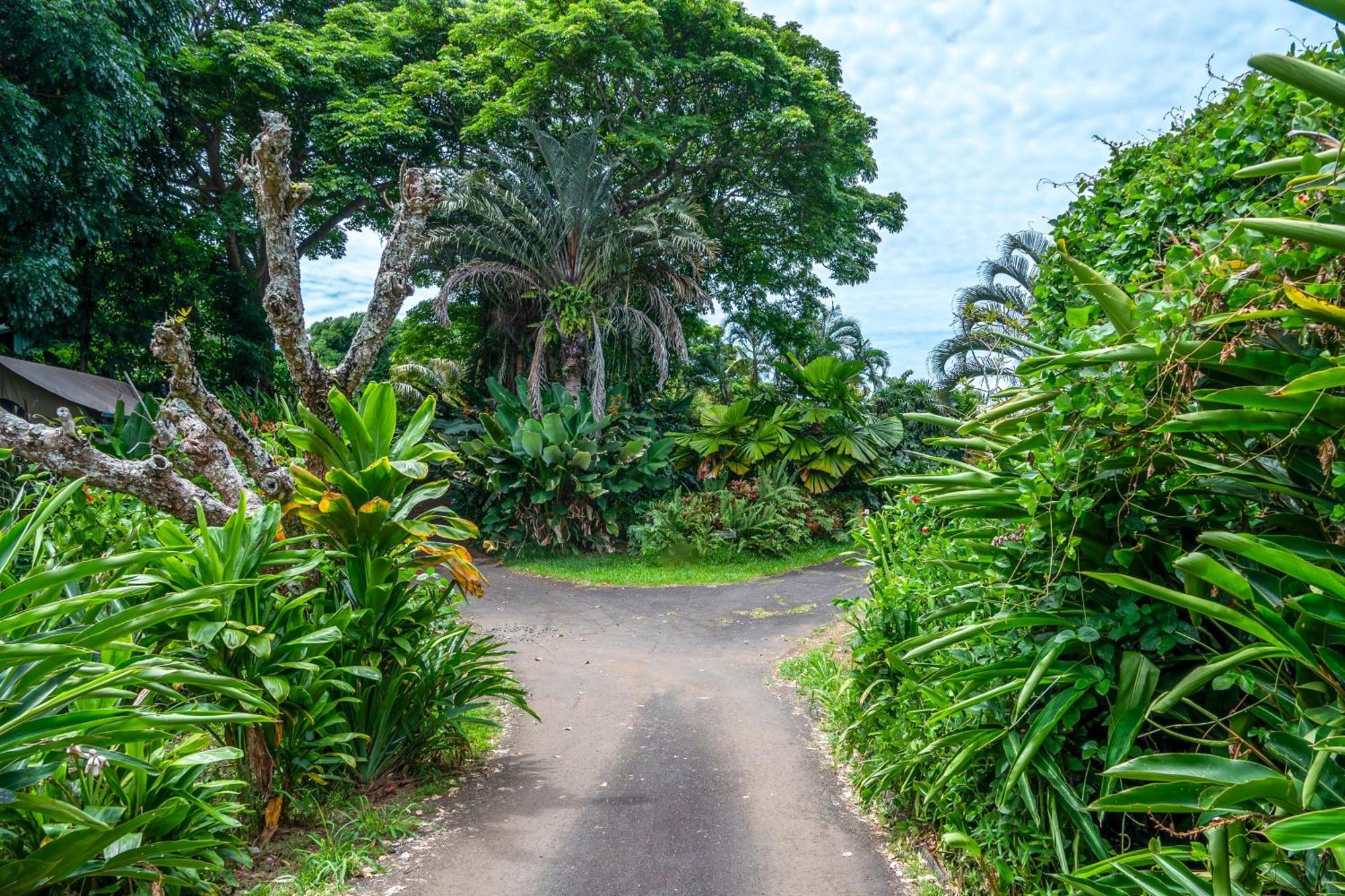 Appartamento Gingerhill Farm Retreat Kealakekua Esterno foto